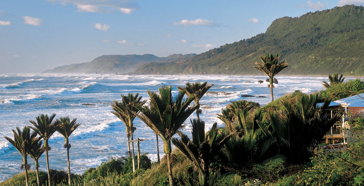 Paparoa | LAT.40