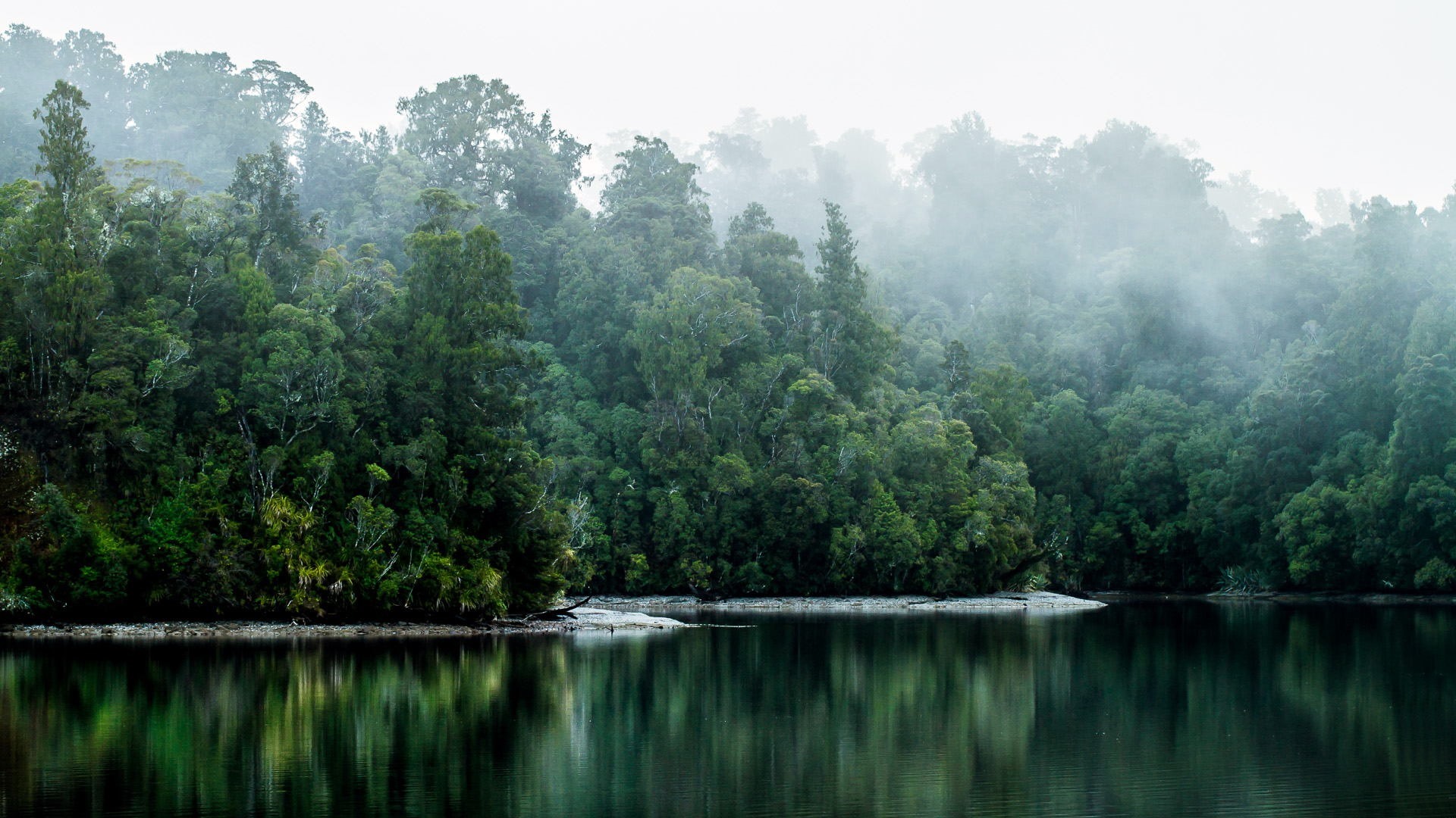 Paparoa | LAT.40