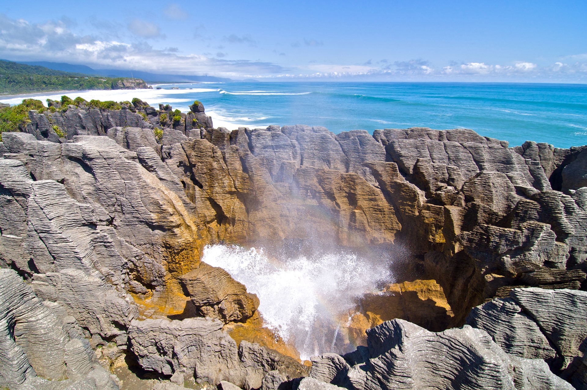 Paparoa | LAT.40