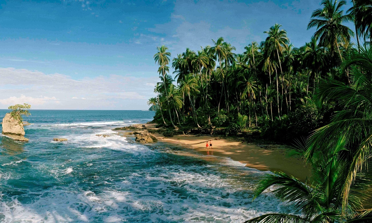 Parque Cahuita | LAT.40