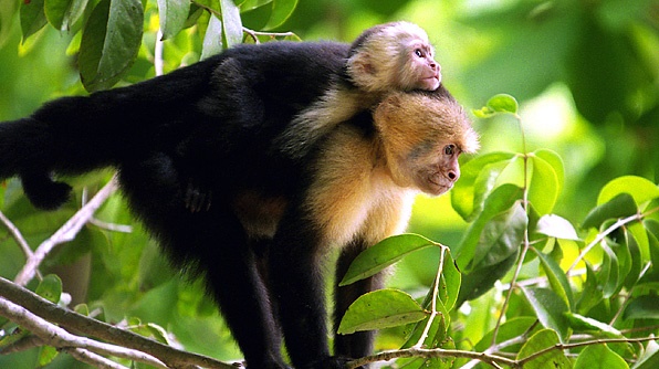 Imagen de viaje LAT.40