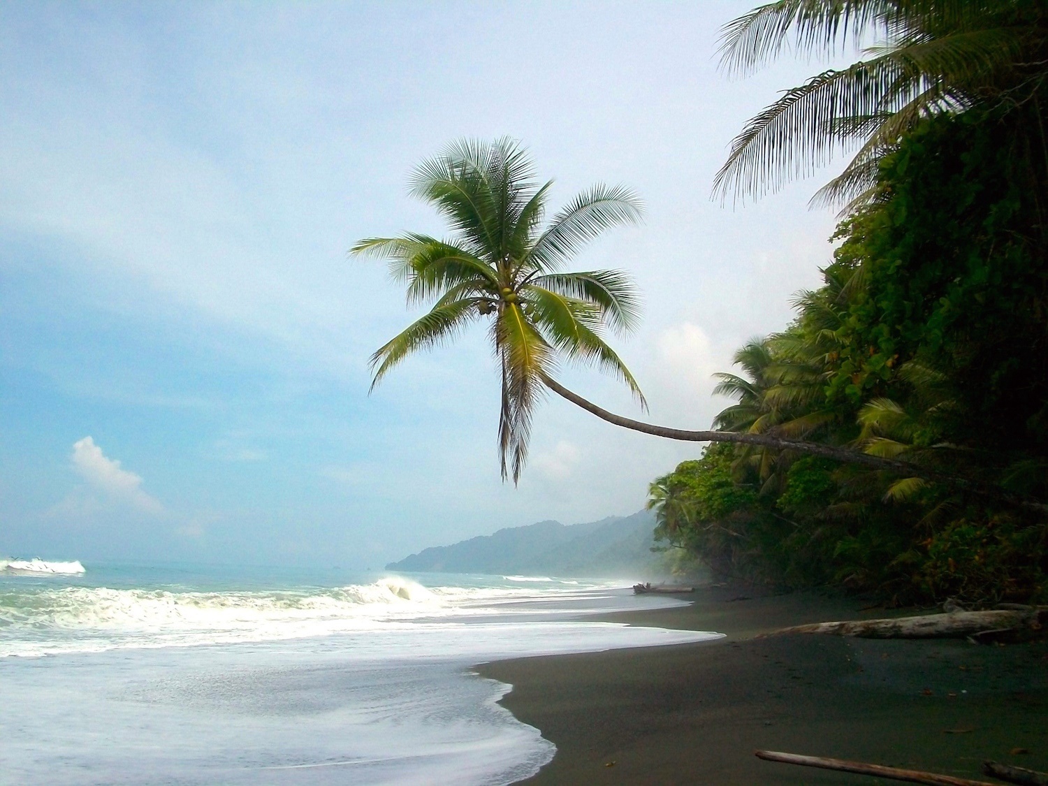 Uvita