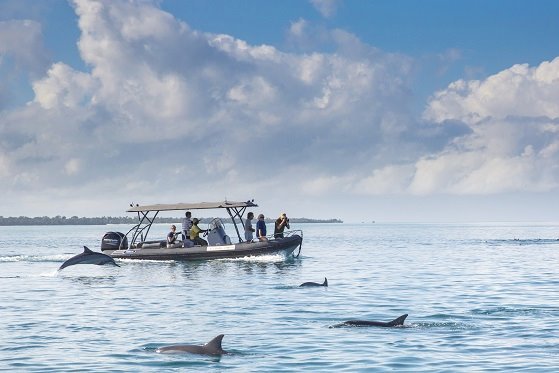 Fundu Lagoon en Isla de Pemba