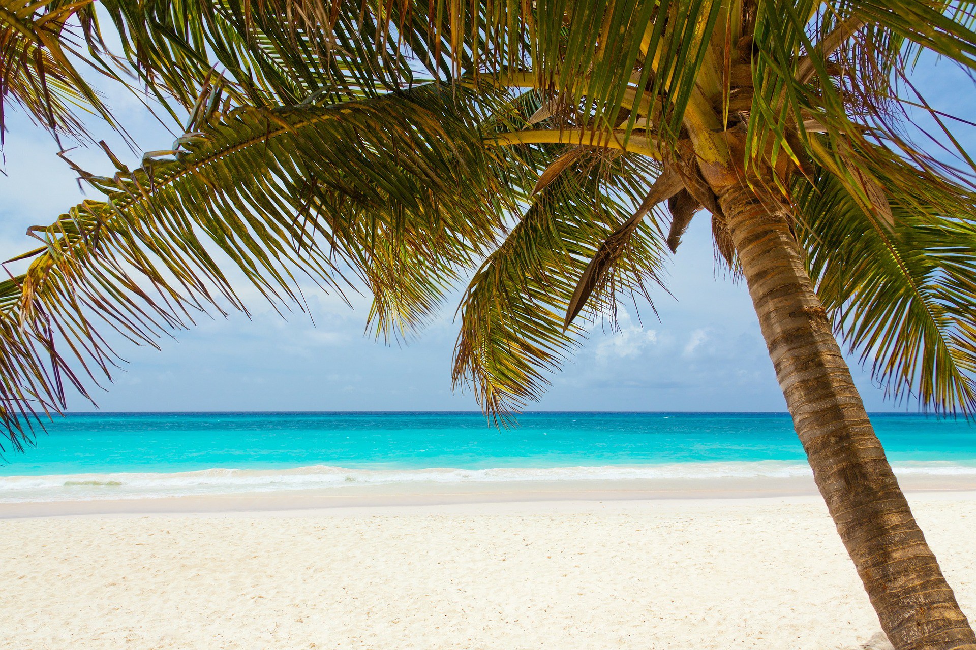Playa del Carmen | LAT.40