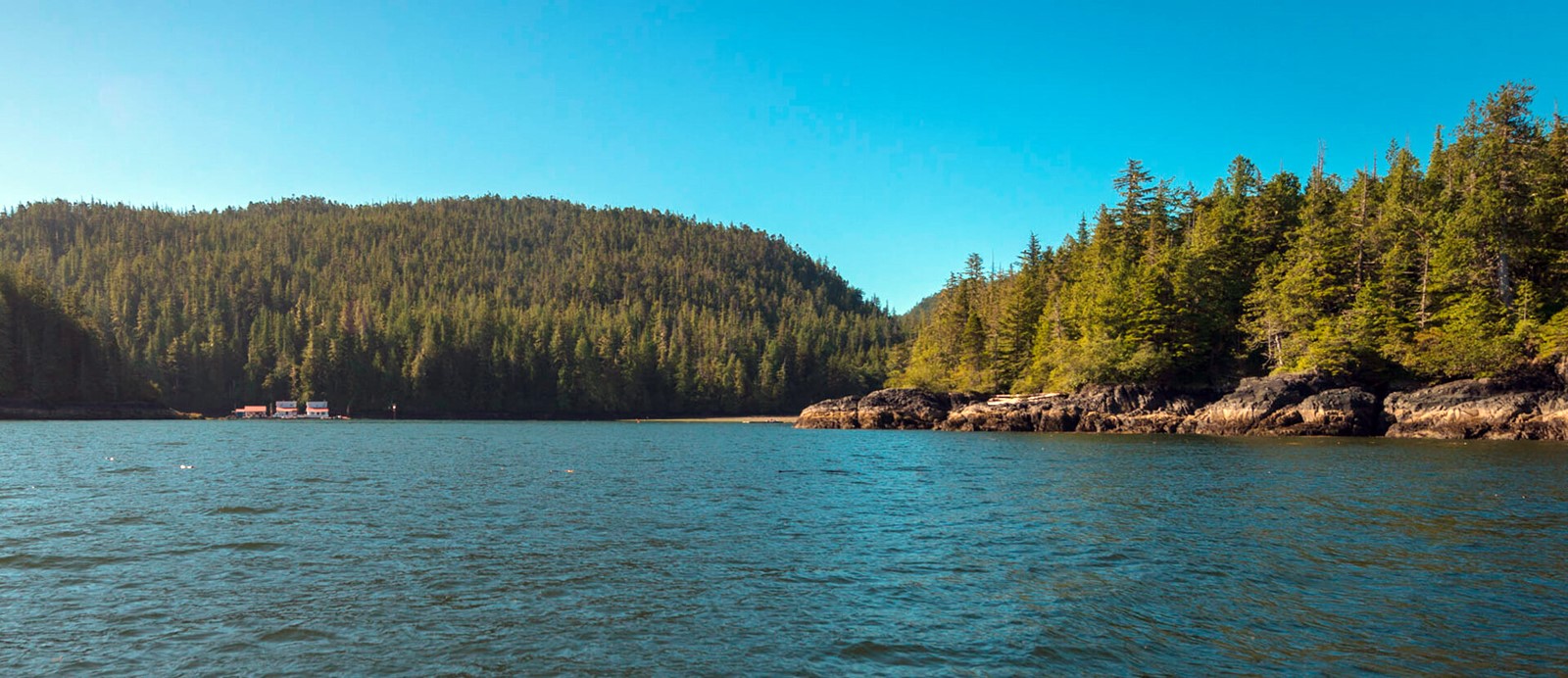 Port Hardy | LAT.40