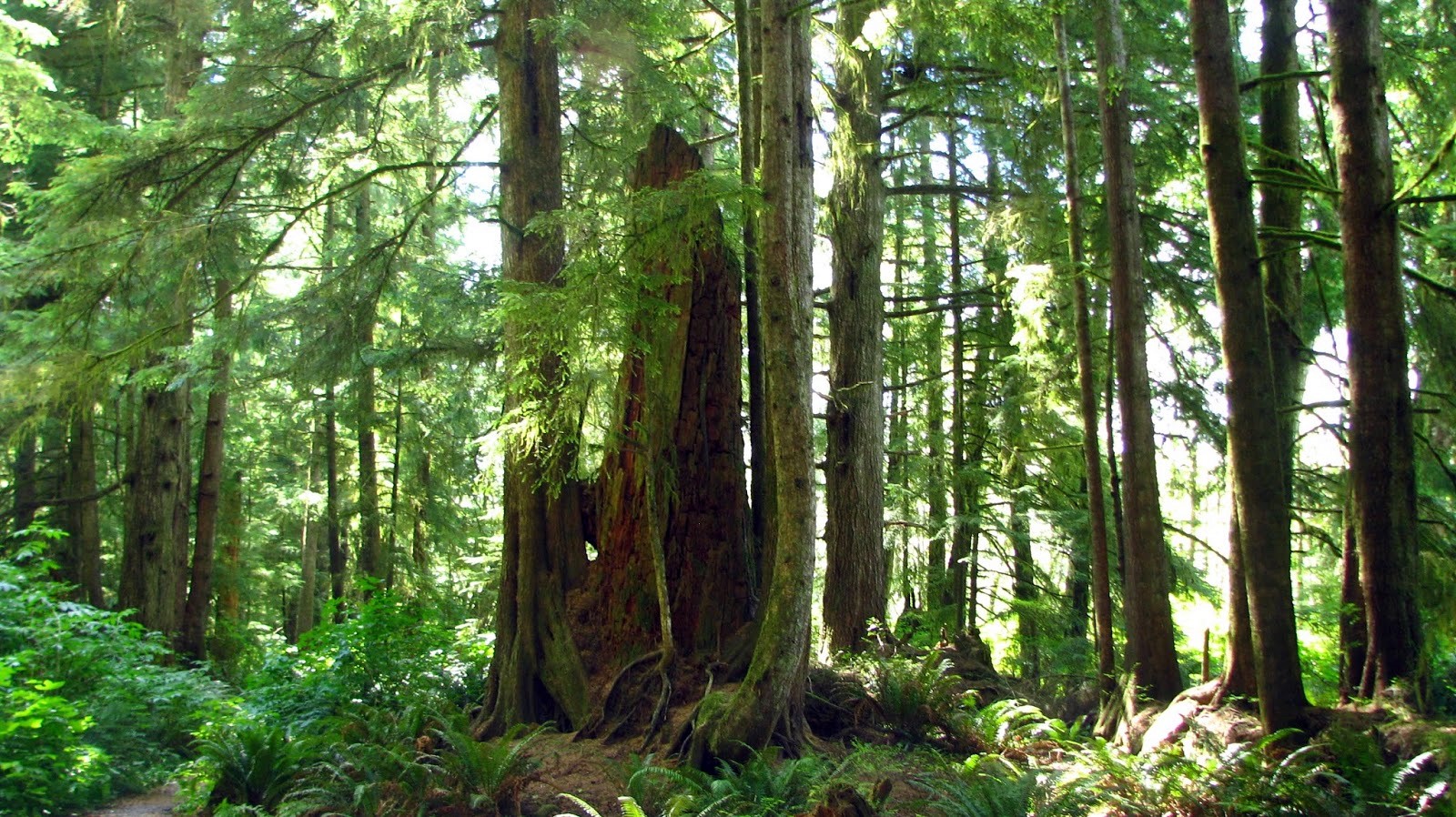 Port Hardy | LAT.40