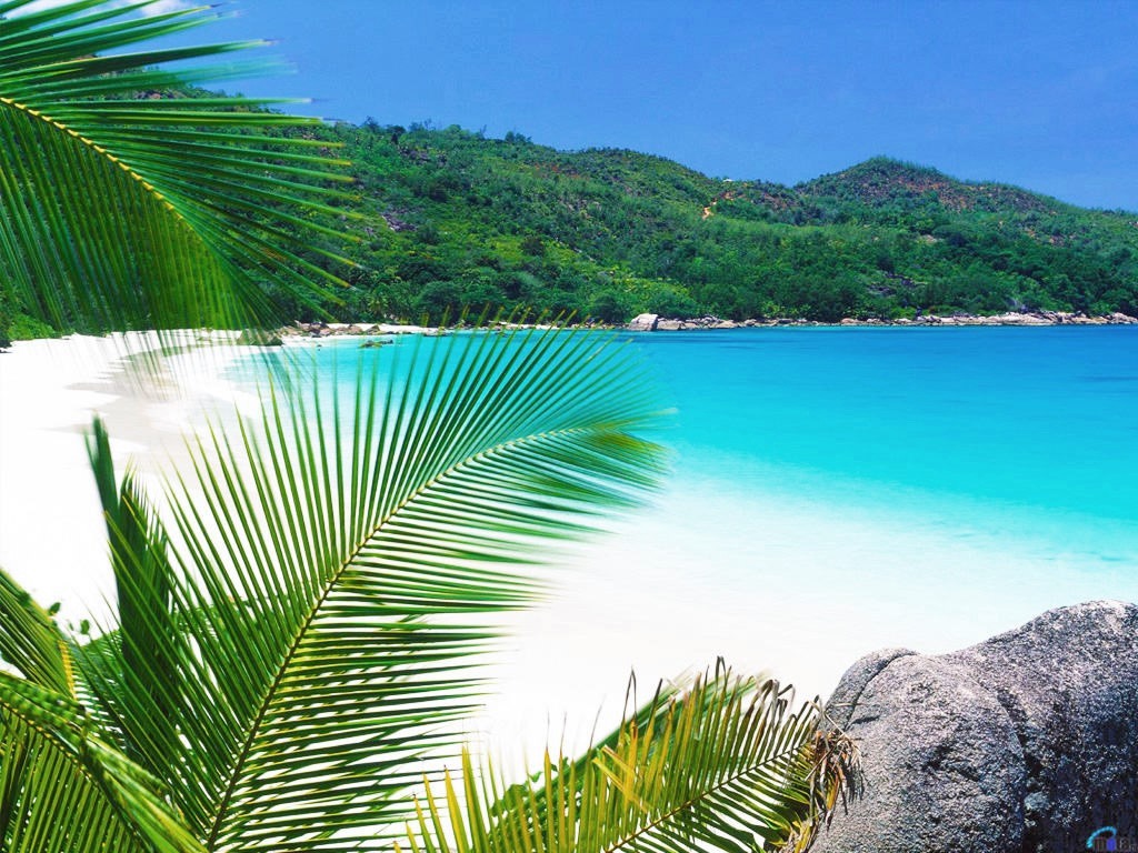 Praslin | LAT.40