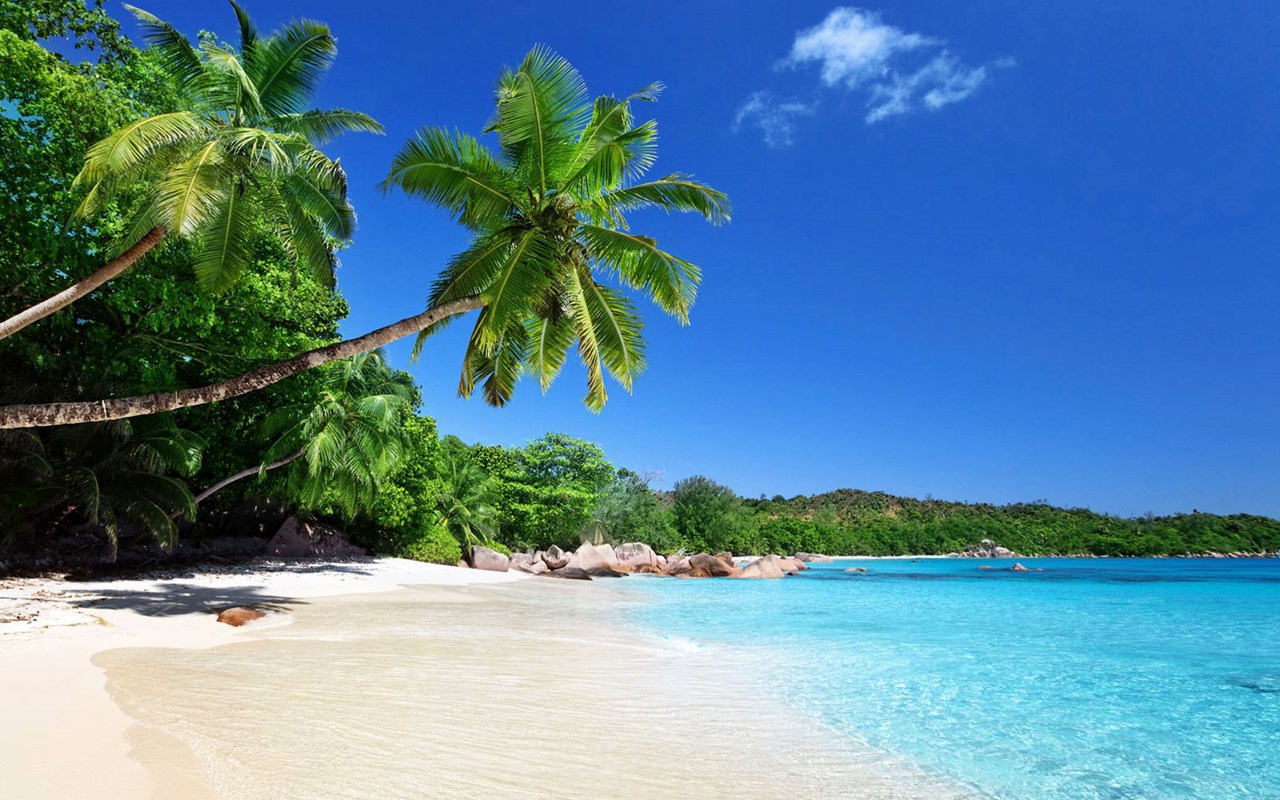 Praslin | LAT.40