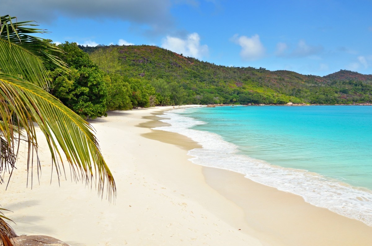 Praslin | LAT.40
