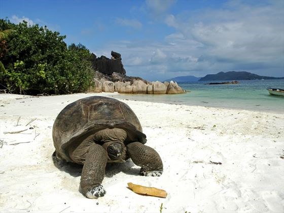 Praslin | LAT.40
