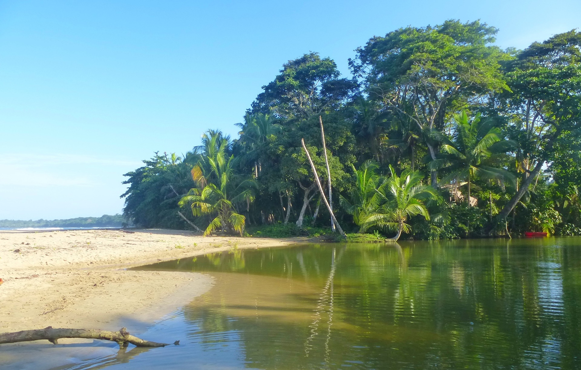 Puerto Viejo | LAT.40