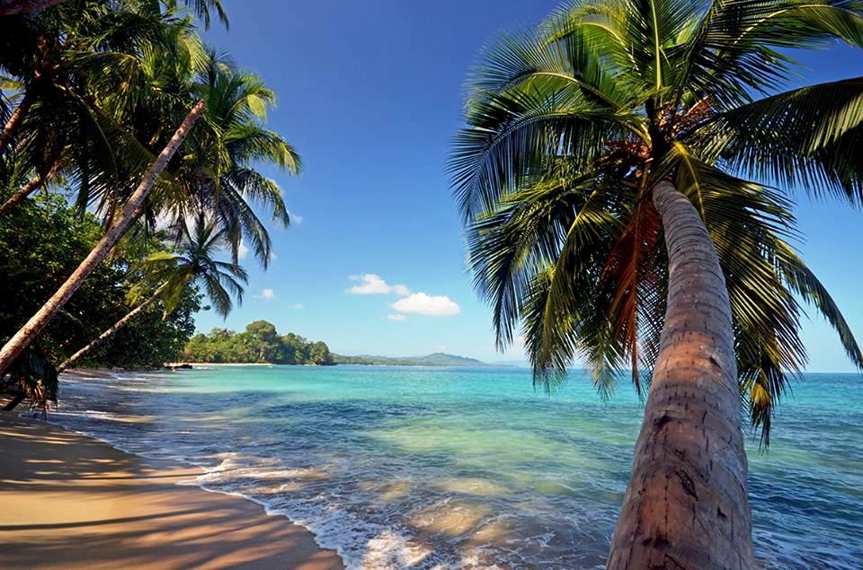 Puerto Viejo | LAT.40