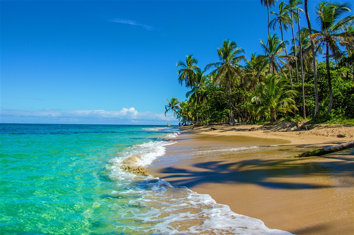 Puerto Viejo | LAT.40
