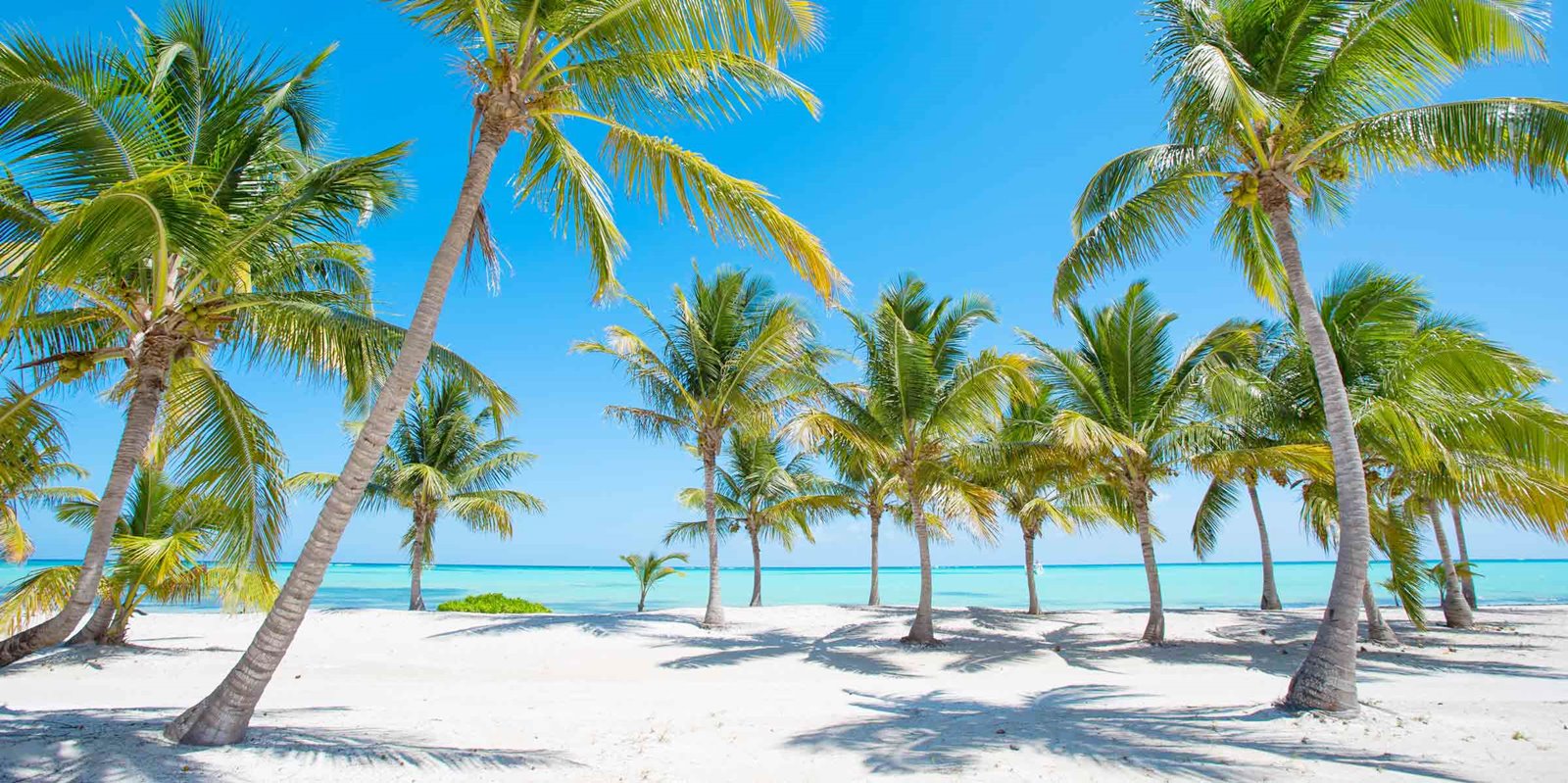 Punta Cana | LAT.40