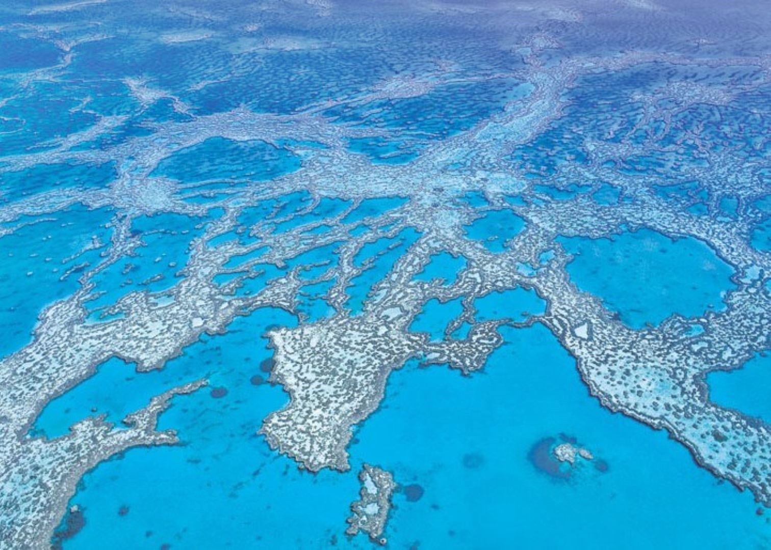 Luna de Miel Australia, Nueva Zelanda y Bora Bora diseñado por LAT.40
