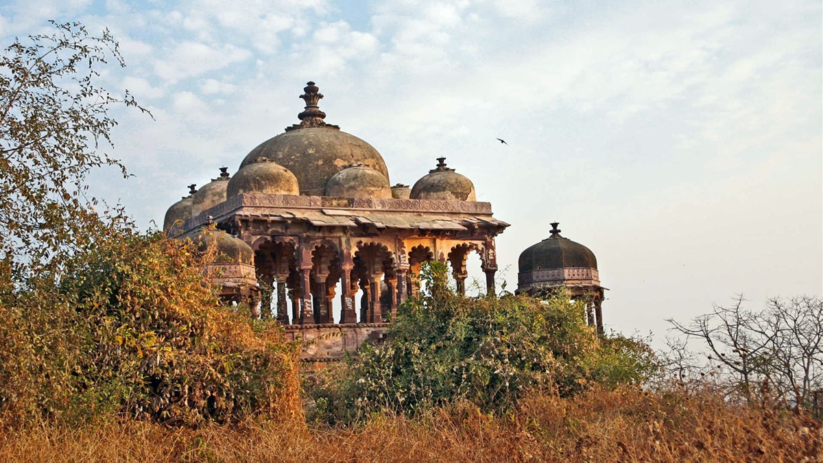 Ranthambore | LAT.40