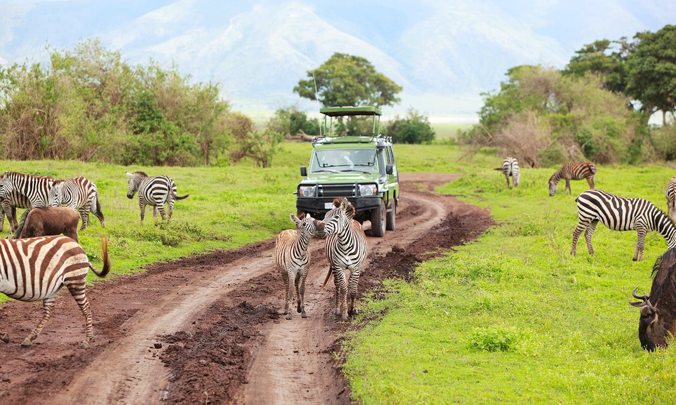 Ruaha | LAT.40