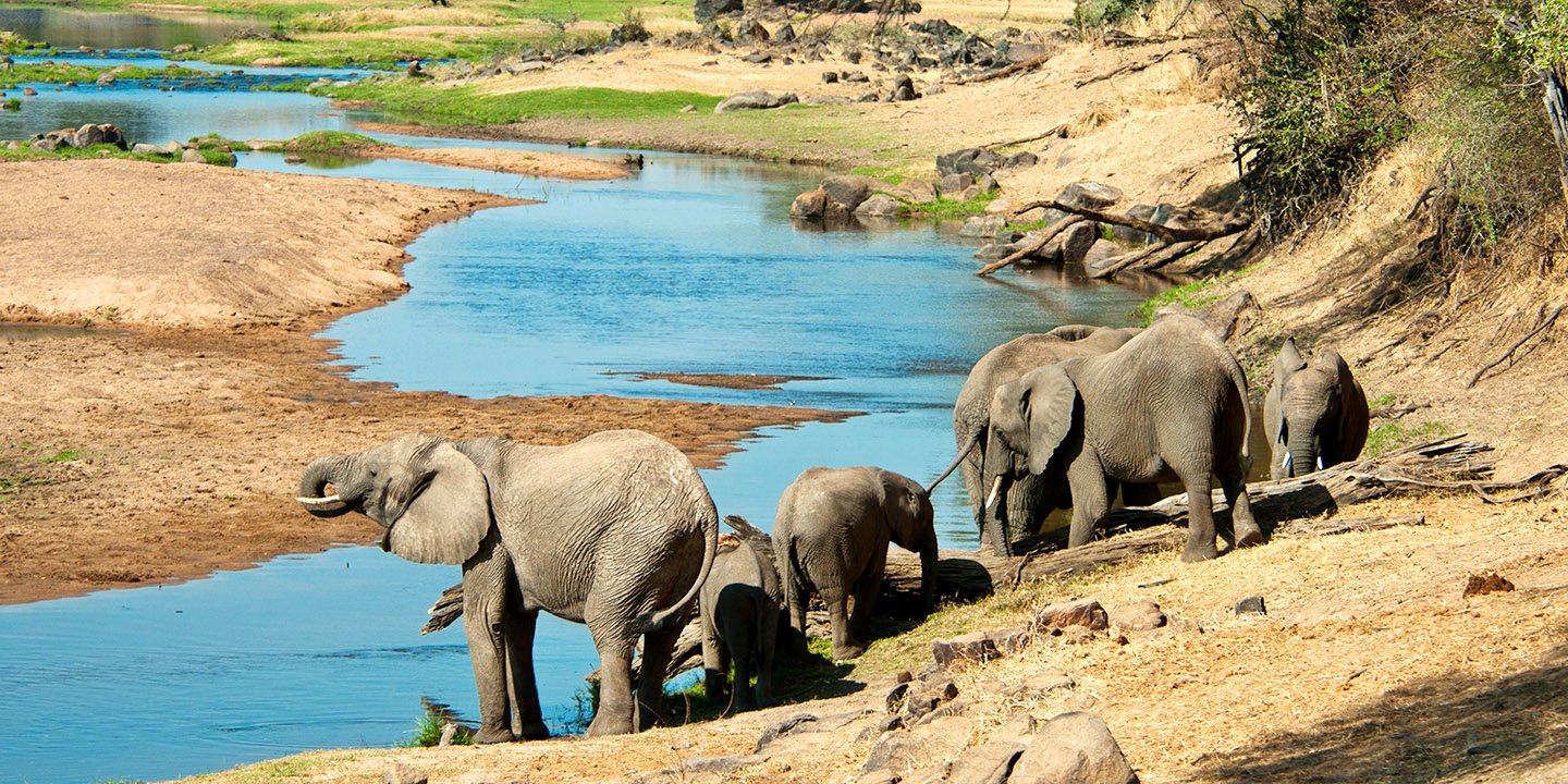 Ruaha | LAT.40