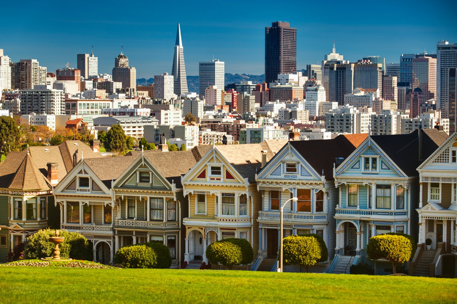 San Francisco | LAT.40