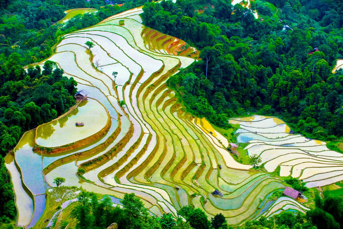 Sapa | LAT.40