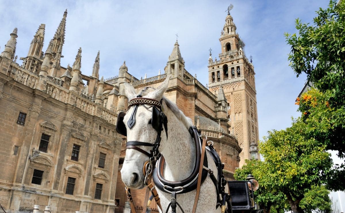 Sevilla | LAT.40