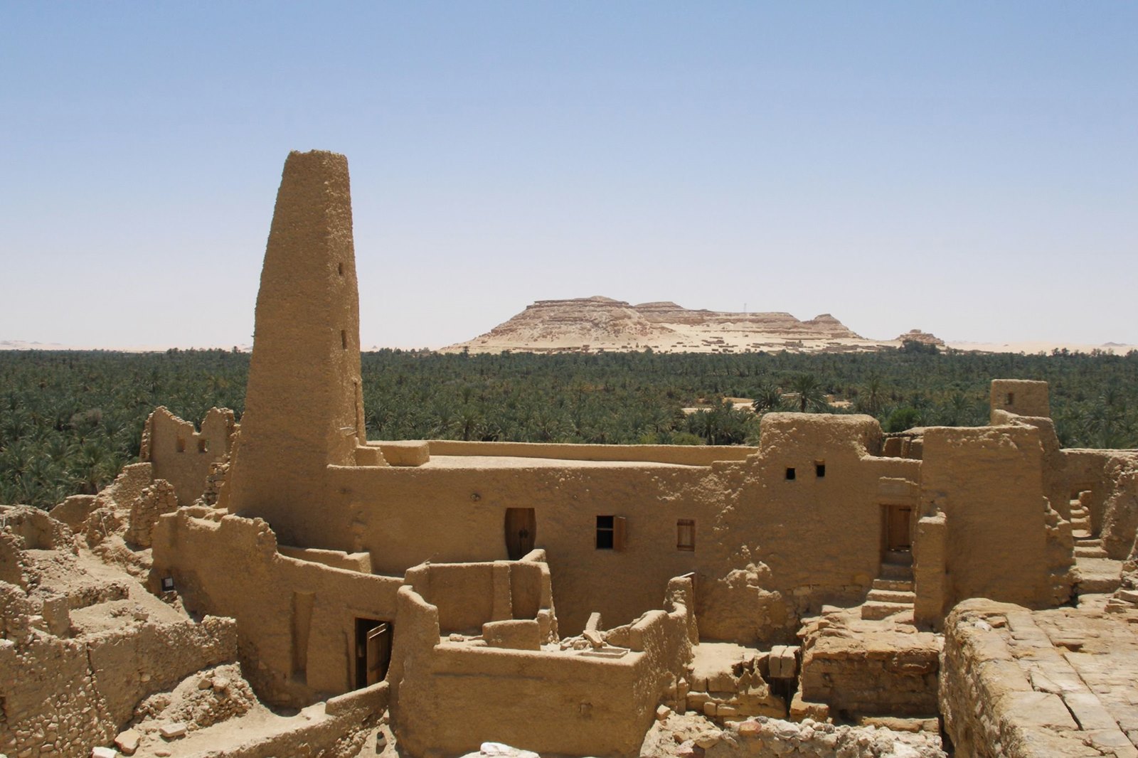 Siwa | LAT.40