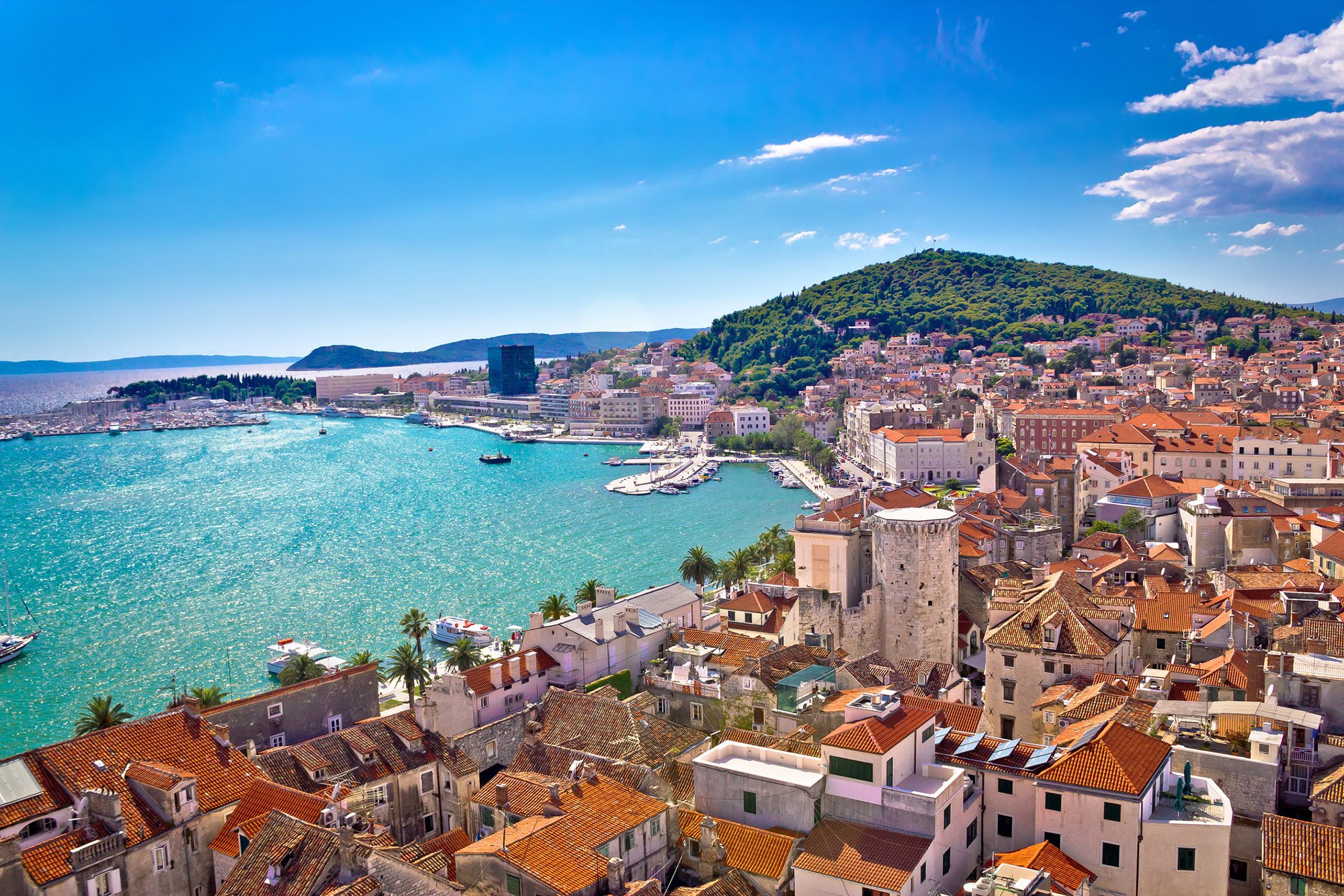 Split | LAT.40