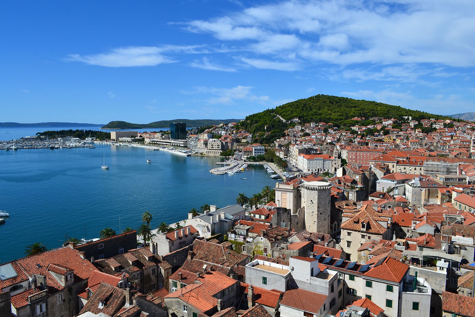 Split | LAT.40