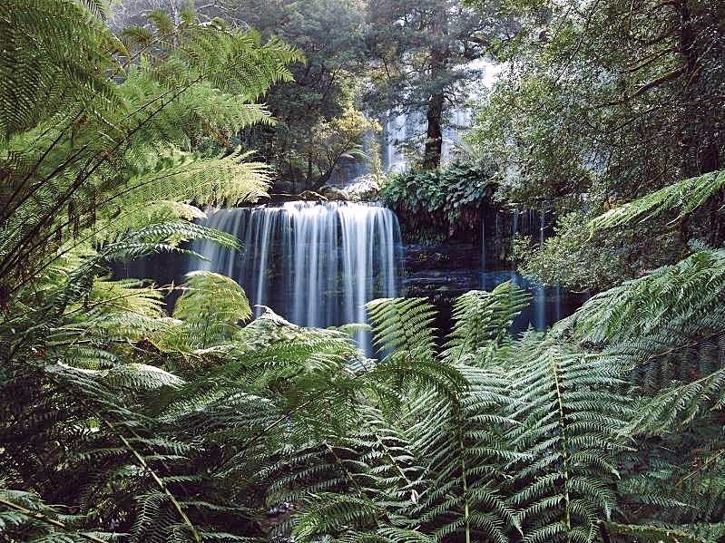 Tasmania | LAT.40