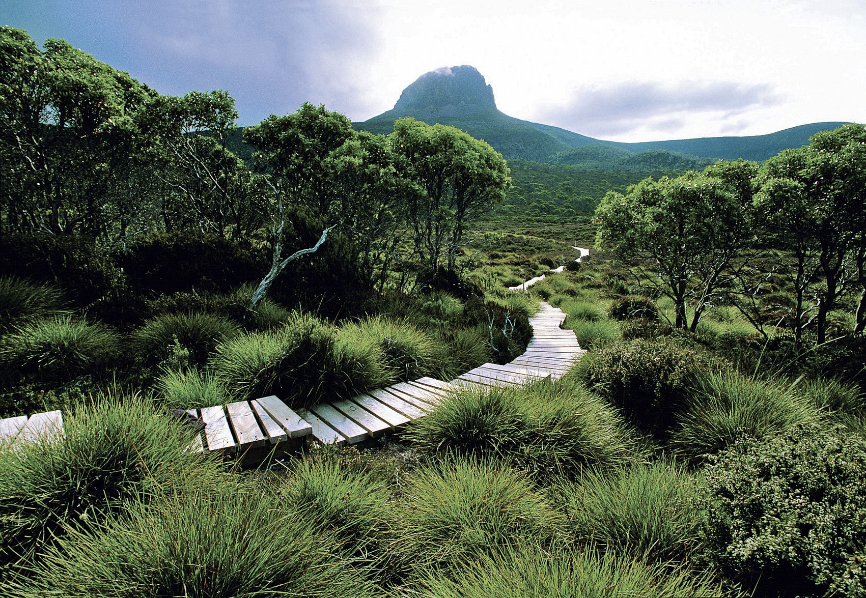 Tasmania | LAT.40