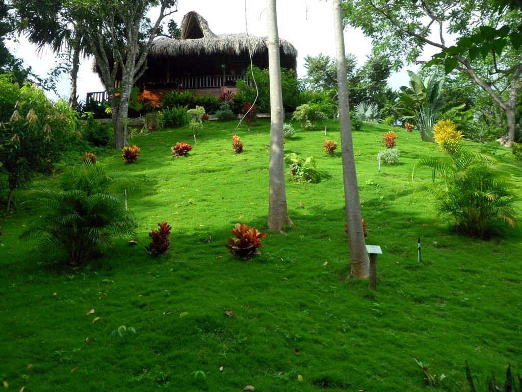 Imagen de viaje LAT.40