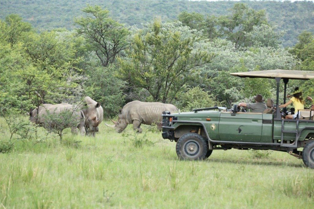 The Waterberg | LAT.40
