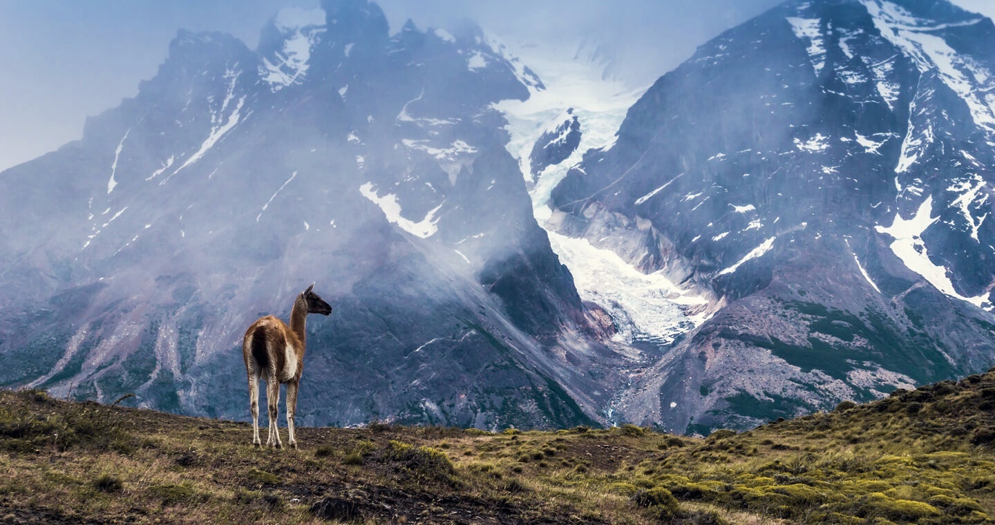 Torres del Paine | LAT.40