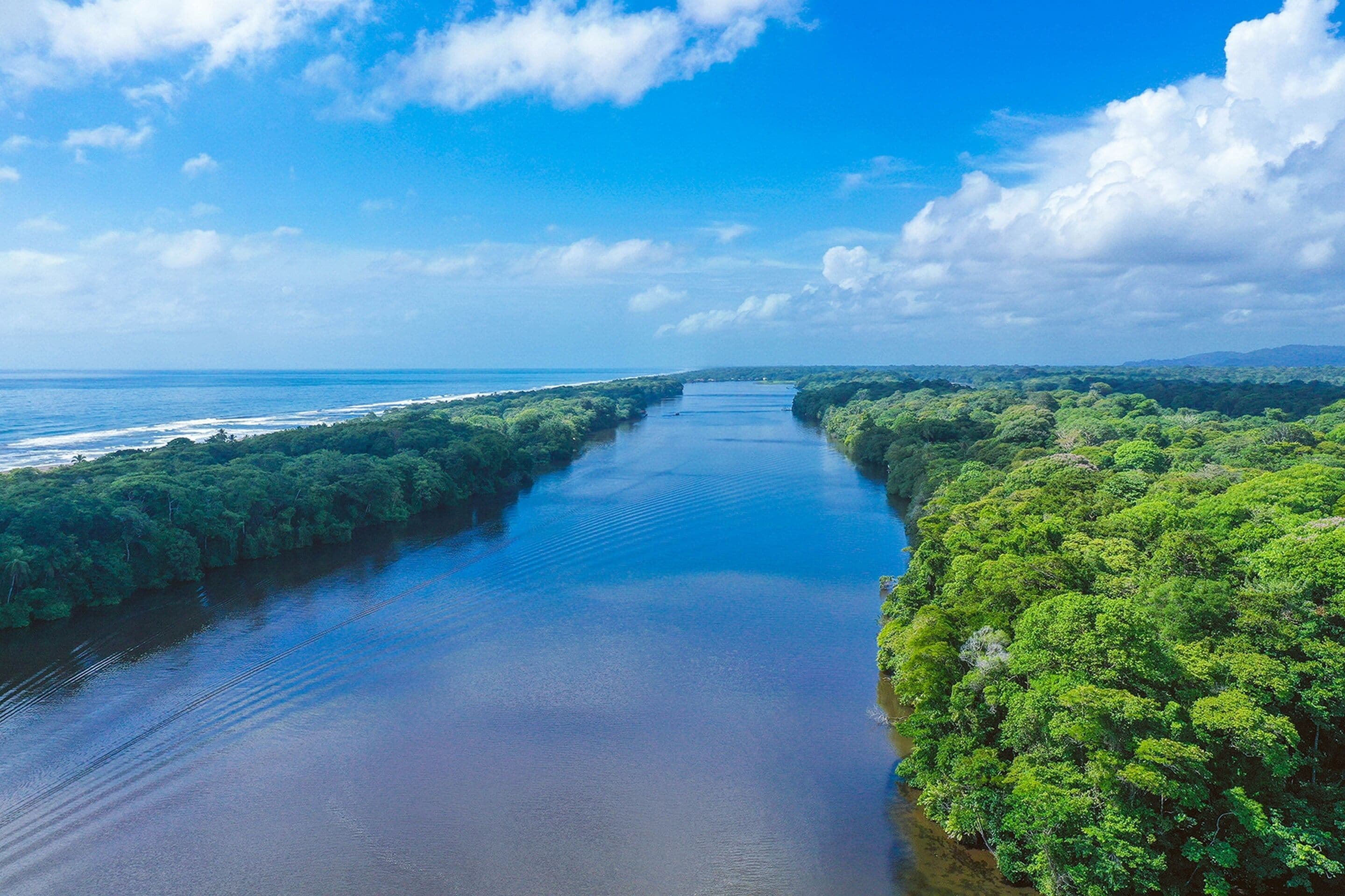 Tortuga Lodge and Gardens by Böëna en Tortuguero