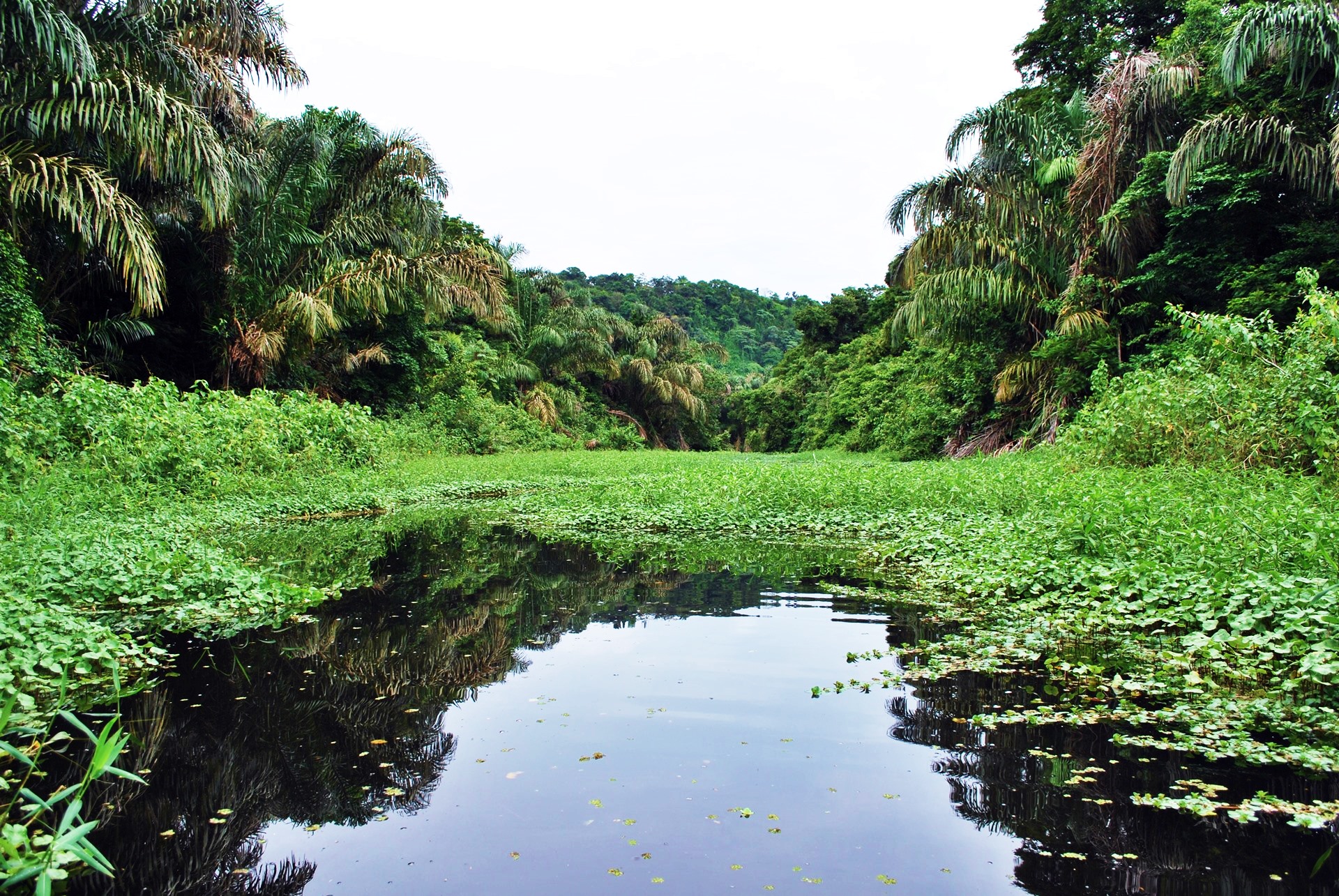 Tortuguero | LAT.40