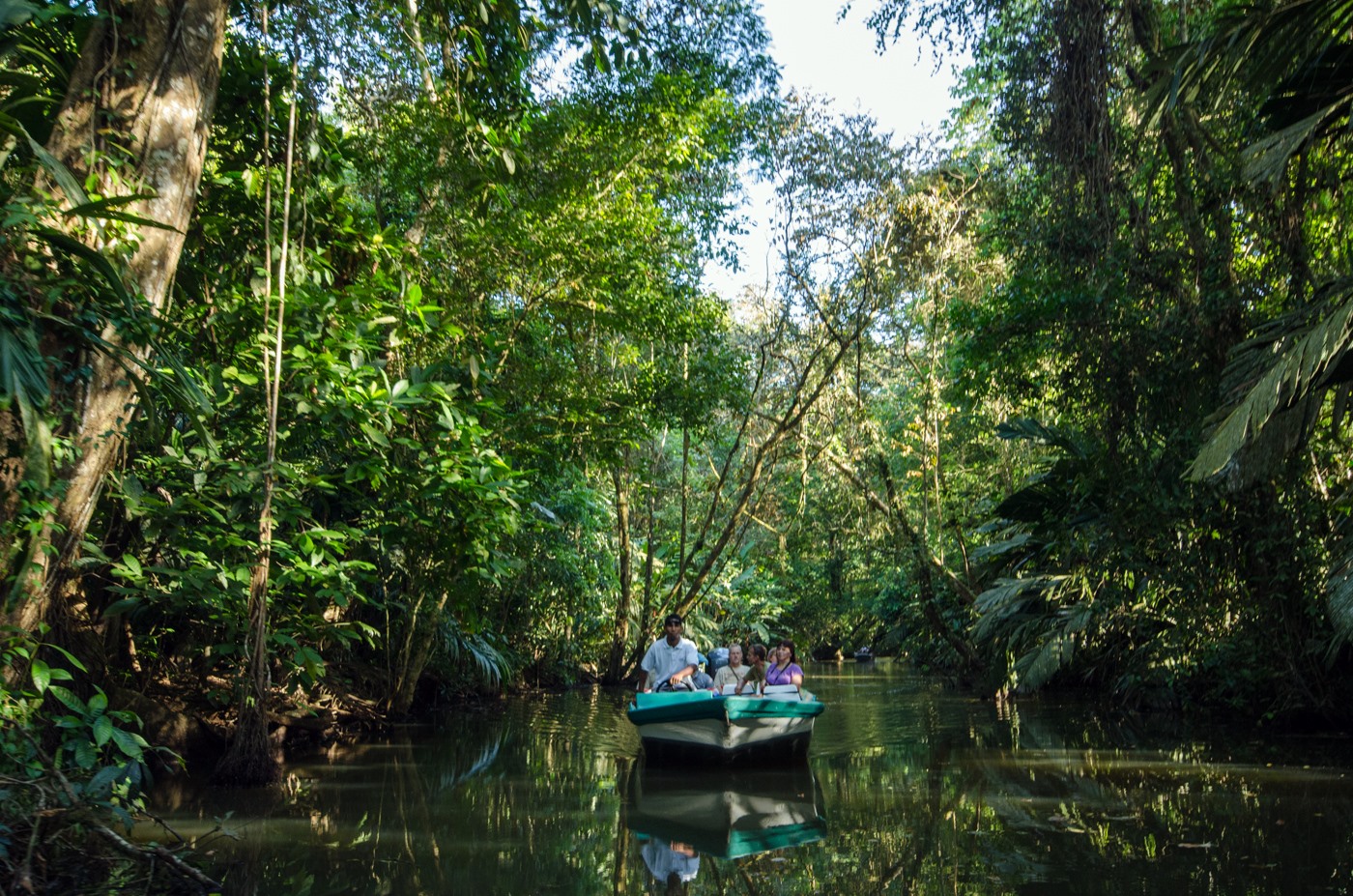 Tortuguero | LAT.40