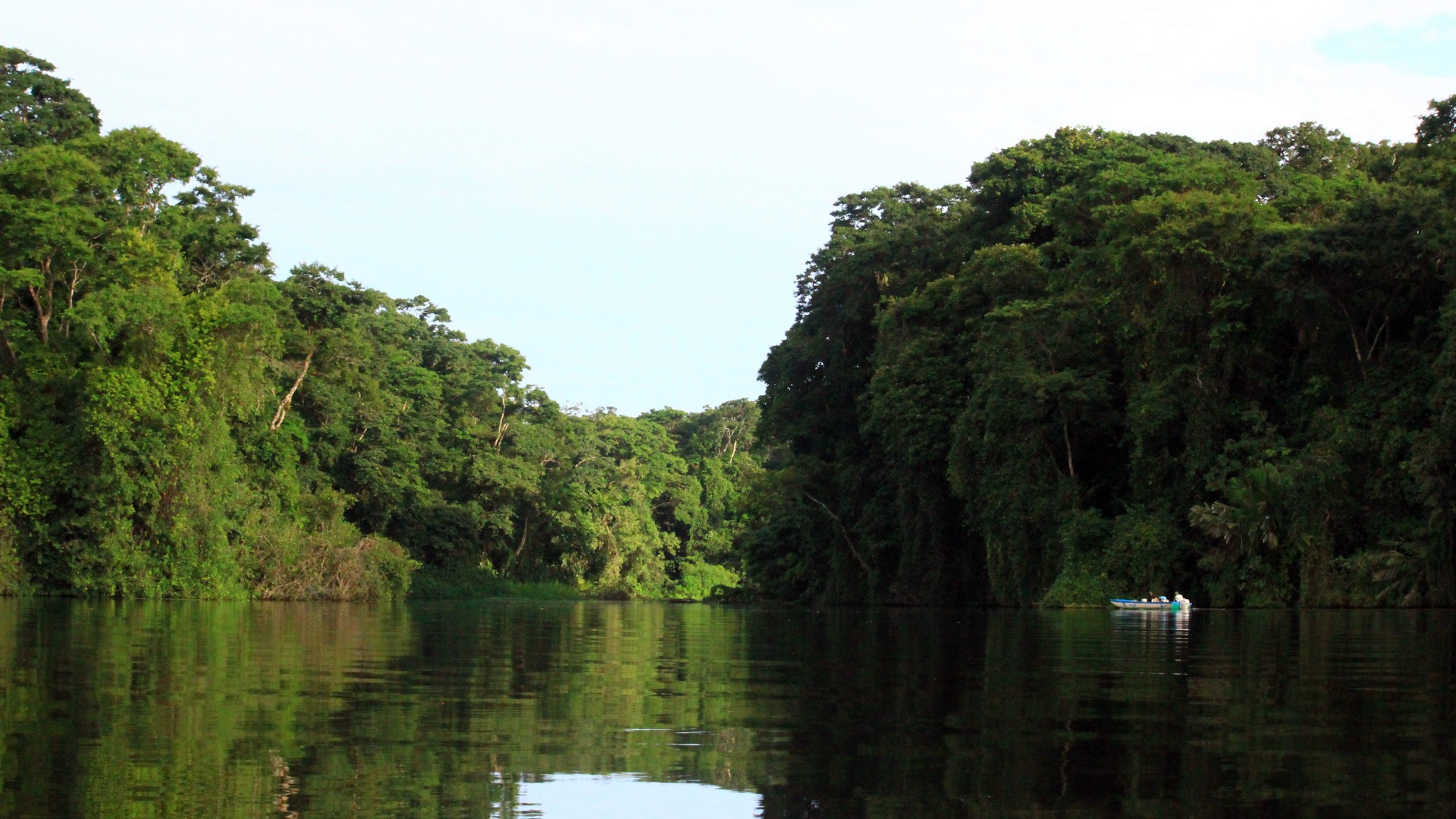 Tortuguero | LAT.40