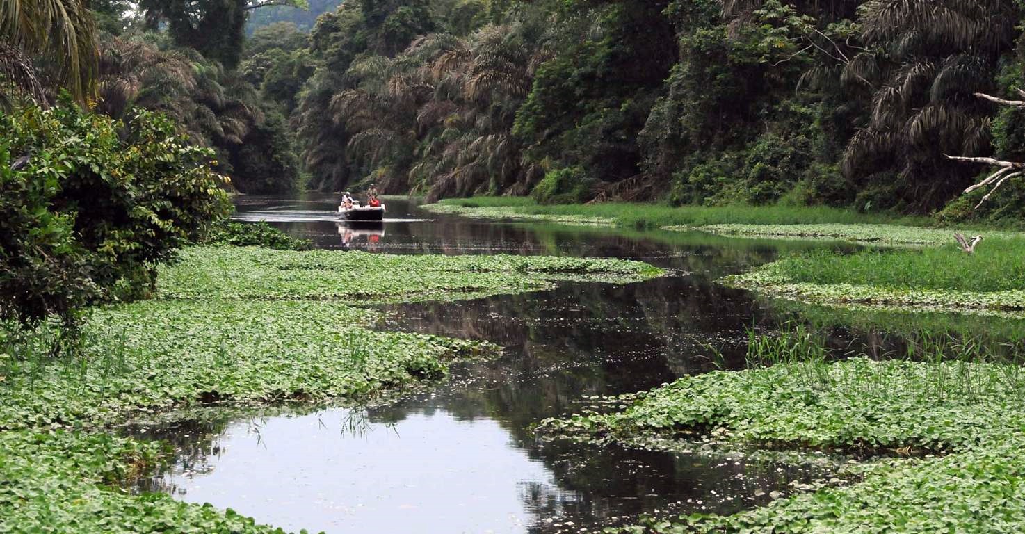 Tortuguero | LAT.40