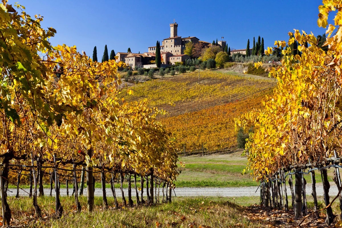 Toscana | LAT.40