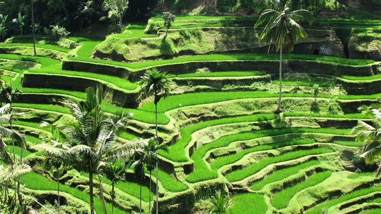 Imagen de viaje LAT.40