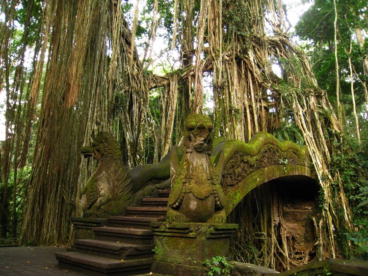 Imagen de viaje LAT.40