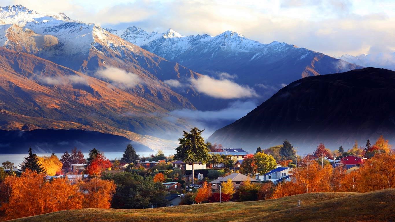 Wanaka | LAT.40