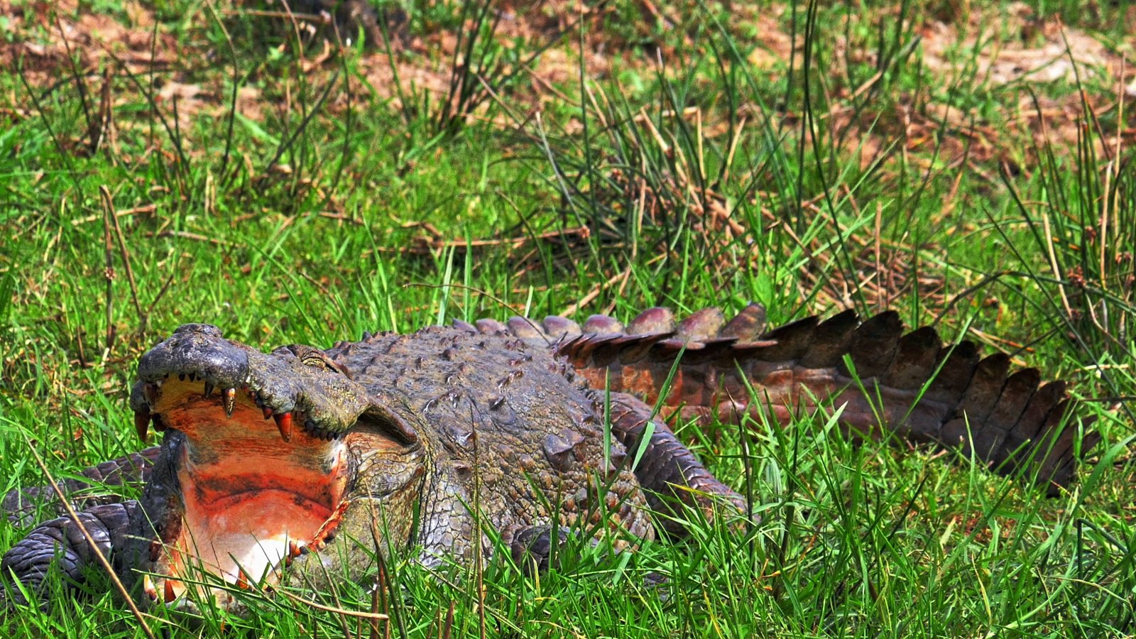 Imagen de viaje LAT.40