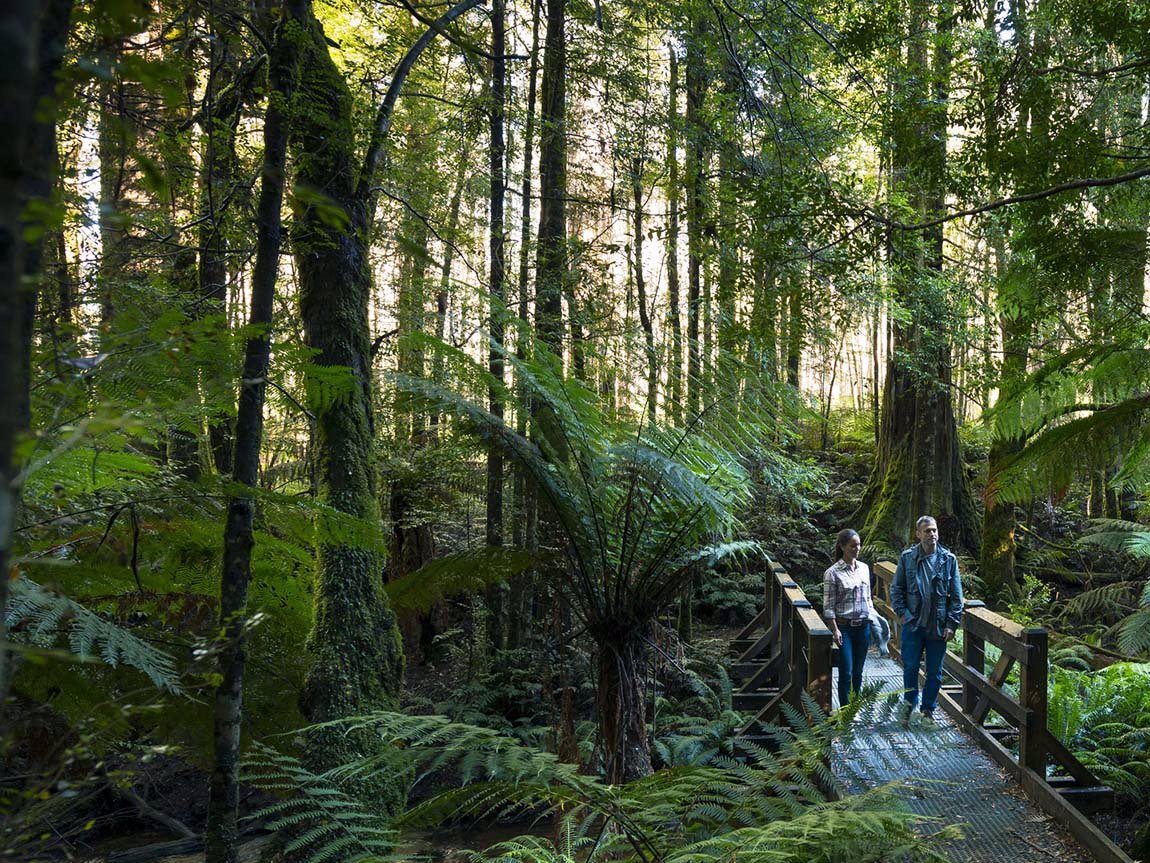 Yarra Ranges | LAT.40