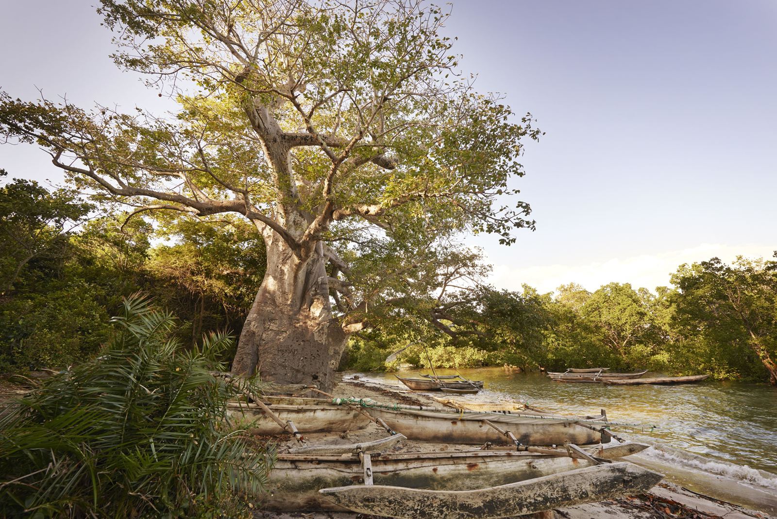The Aiyana en Isla de Pemba