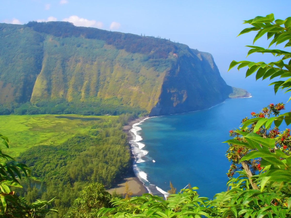 Big Island  | LAT.40