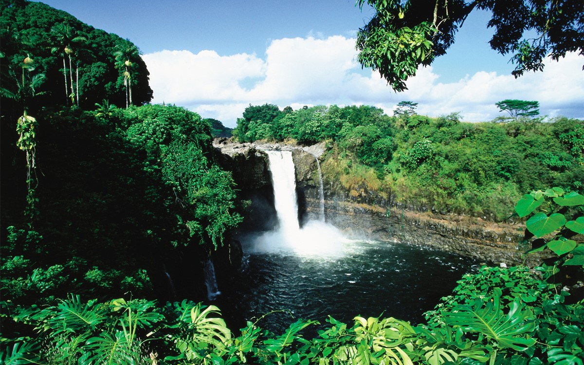 Big Island  | LAT.40