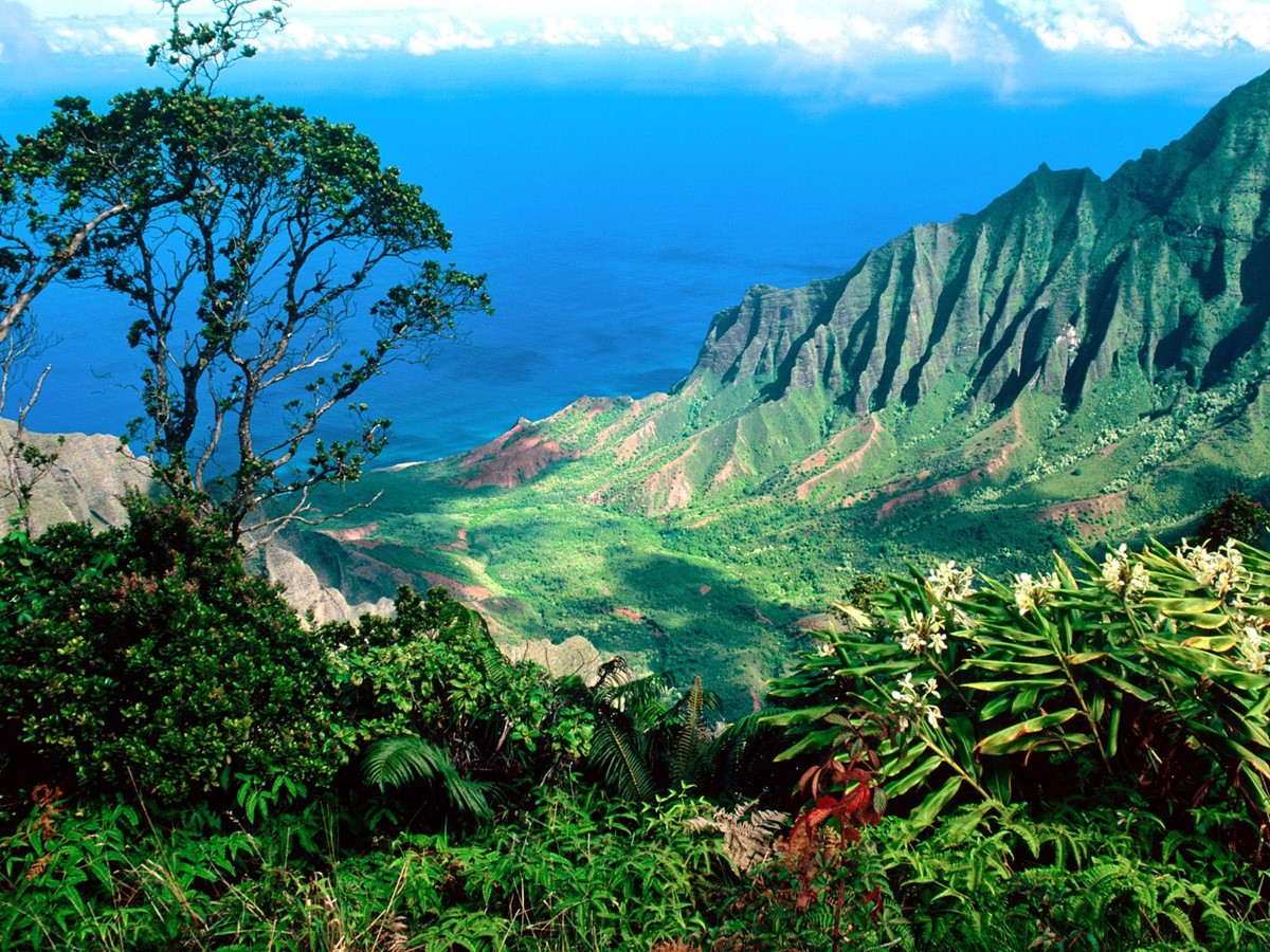 Kauai | LAT.40