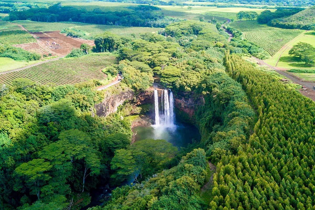 Kauai | LAT.40