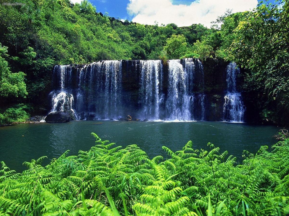 Kauai | LAT.40